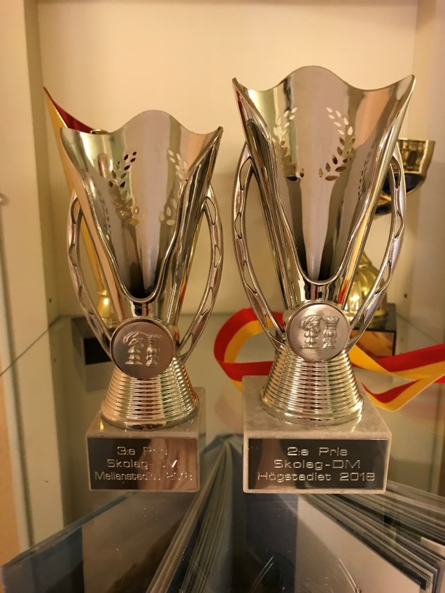 Pokal (2)